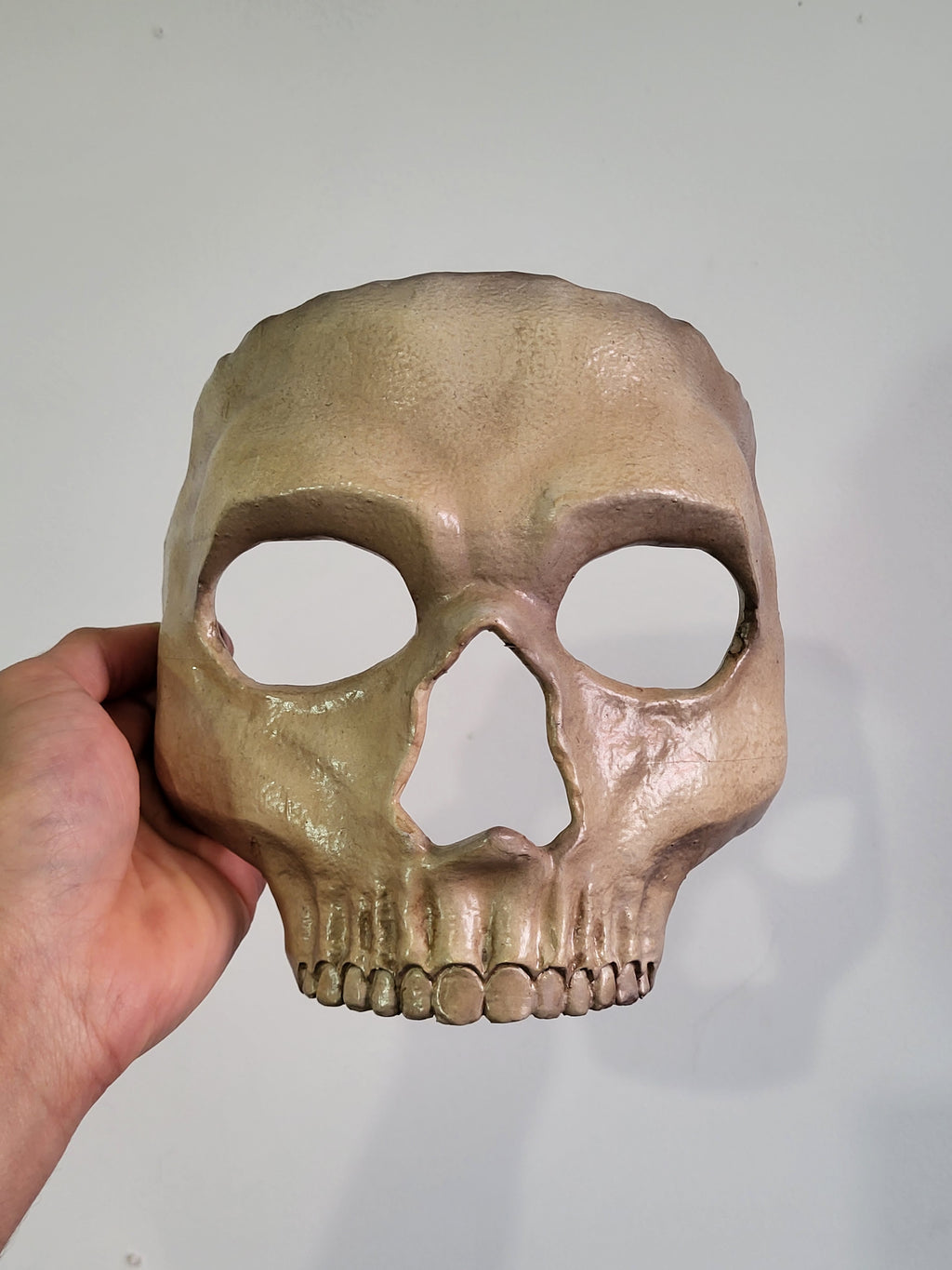 Skull Face Mask