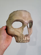 Skull Face Mask